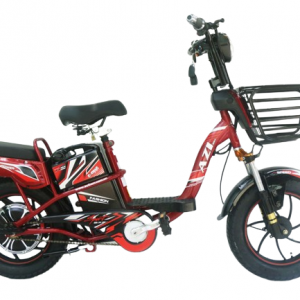 Bình ắc quy xe đạp điện AZI A12 16inch chính hãng
