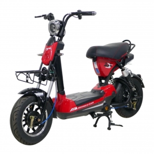 Bình ắc quy xe đạp điện Aima M133 chính hãng