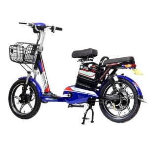 Bình ắc quy xe đạp điện Alpha A1 chính hãng