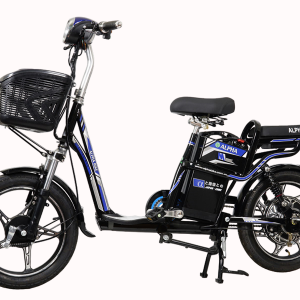 Bình ắc quy xe đạp điện Alpha Mini chính hãng