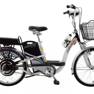 Bình ắc quy xe đạp điện Asama ASF chính hãng