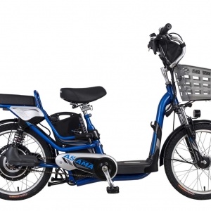 Bình ắc quy xe đạp điện Asama EBK RY2001 chính hãng