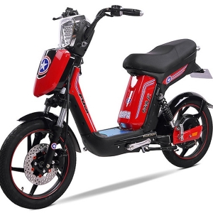 Bình ắc quy xe đạp điện Cap A2 Fuji chính hãng