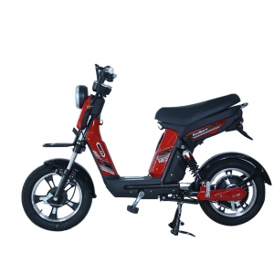 Bình ắc quy xe đạp điện JVC Cap Neo Sport chính hãng