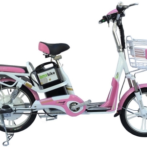 Bình ắc quy xe đạp điện Bmx Color chính hãng
