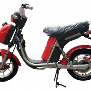 Bình ắc quy xe đạp điện NIJIA PHANH ĐĨA ĐỒNG HỒ CƠ chính hãng