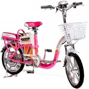 Bình ắc quy xe đạp điện Draca E10 chính hãng