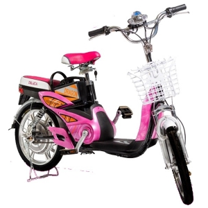 Bình ắc quy xe đạp điện Draca E4 chính hãng