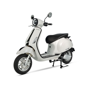 Bình ắc quy xe máy điện Espero Vespa chính hãng