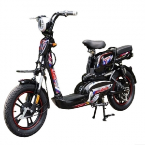 Bình ắc quy xe đạp điện JVC Eco G10 16 Inch chính hãng