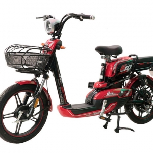 Bình ắc quy xe đạp điện JVC G10 18inch Plus chính hãng