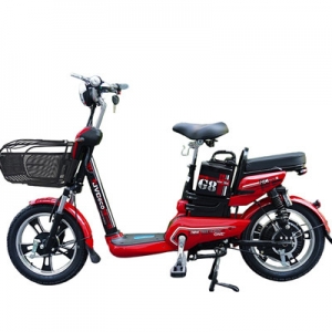 Bình ắc quy xe đạp điện JVC G8 18inch Plus chính hãng