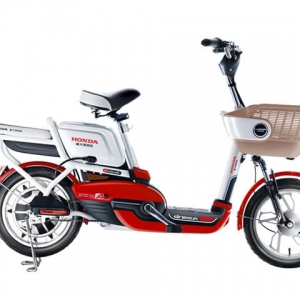 Bình ắc quy xe đạp điện Honda A5 chính hãng