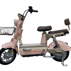 Bình ắc quy xe đạp điện Moca chính hãng