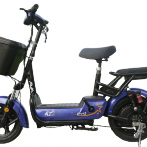 Bình ắc quy xe đạp điện AZI @Nine A9 chính hãng