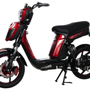 Bình ắc quy xe đạp điện Osakar Alpha chính hãng