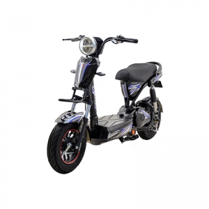 Bình ắc quy xe đạp điện Osakar One A chính hãng