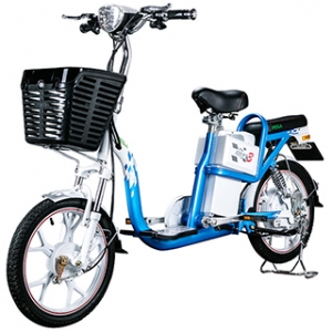 Bình ắc quy xe đạp điện Pega Zinger Color 3 chính hãng