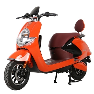 Bình ắc quy xe máy điện Pretty 966 Zongshen chính hãng