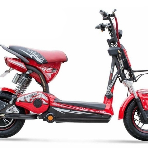 Bình ắc quy xe đạp điện Nike Bike Q7 chính hãng