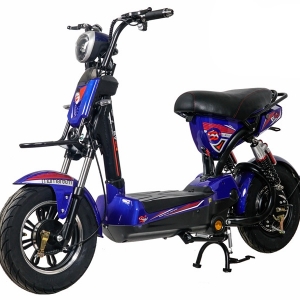 Bình ắc quy xe đạp điện EV S8 chính hãng