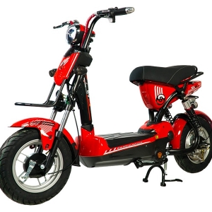 Bình ắc quy xe đạp điện EV S8 Limited chính hãng