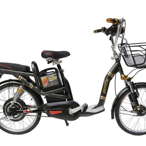 Bình ắc quy xe đạp điện Bmx Star 22inch Carbon chính hãng