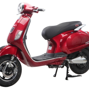 Bình ắc quy xe máy điện Vespas Dibao Pansy chính hãng
