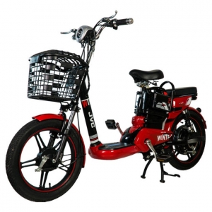 Bình ắc quy xe đạp điện JVC Winter chính hãng