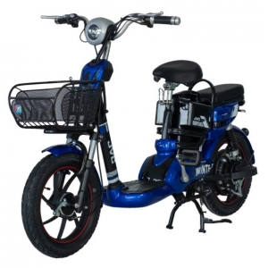 Bình ắc quy xe đạp điện JVC Winter New 16inch chính hãng