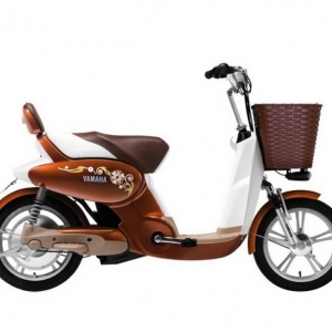 Bình ắc quy xe đạp điện Yamaha Cute Girl F2 chính hãng