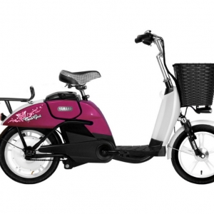 Bình ắc quy xe đạp điện Yamaha Cute Girl chính hãng