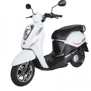 Bình ắc quy xe máy điện SYM EV Elite chính hãng