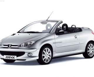 Thay Bình Ắc Quy Chuẩn Xe Peugeot 206 Coupe - Chính Hãng Giá Tốt Nhất
