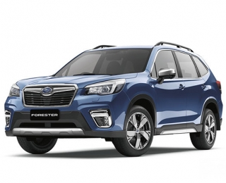 Bình ắc quy xe Subaru Forester